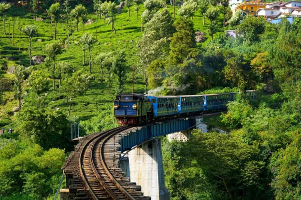 Ooty Train